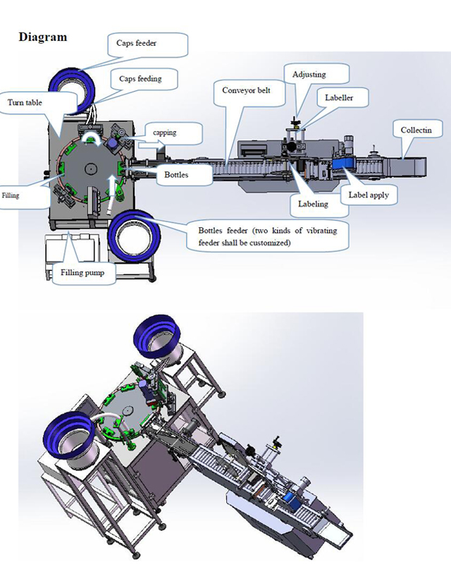 Palackok típusa.jpg